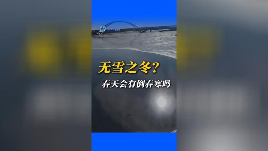 海尔老总,澳门49图库免费资料电脑版,创造力策略实施推广_社交版V12.17