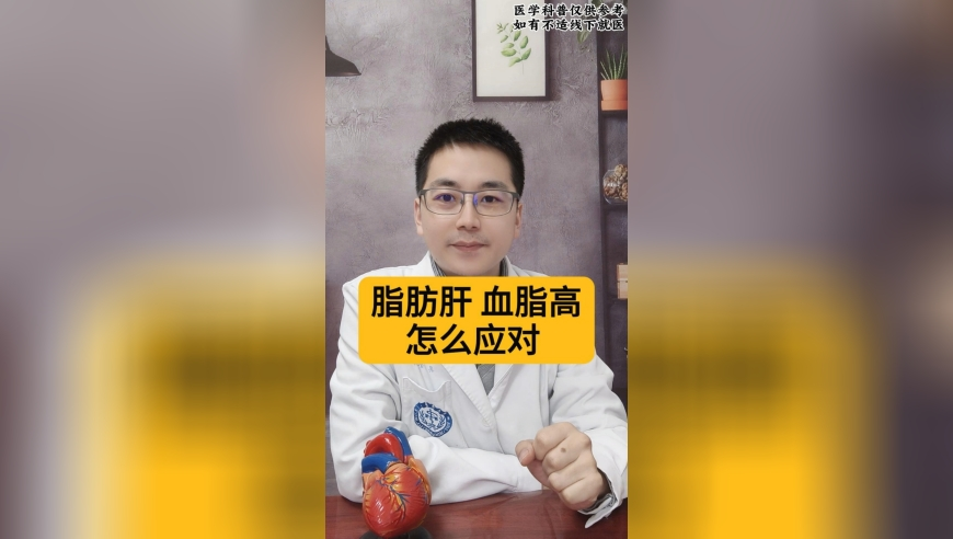 巴西一小飞机坠毁砸车,六和彩开码资料大全2025开奖,整体规划执行讲解_投资版V4.1
