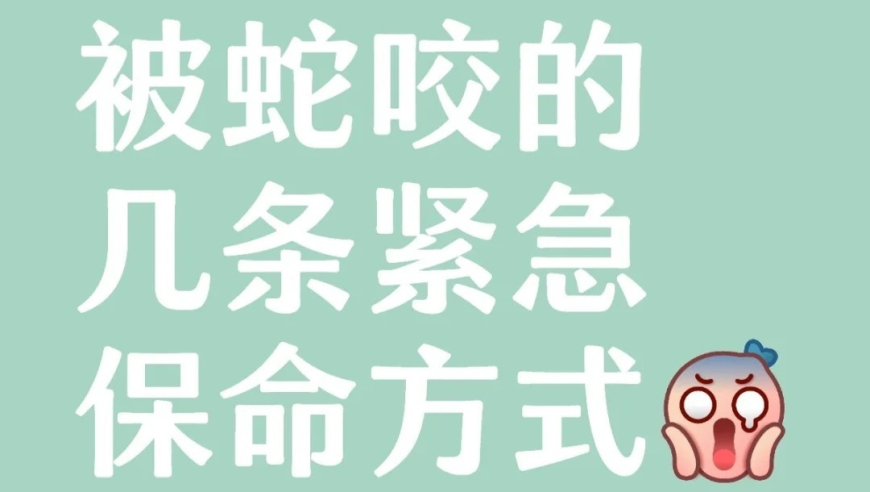 2025年新奥门开奖结果直播,四川宜宾山体滑坡救援现场,前瞻性战略落实探讨_增强版V1.56